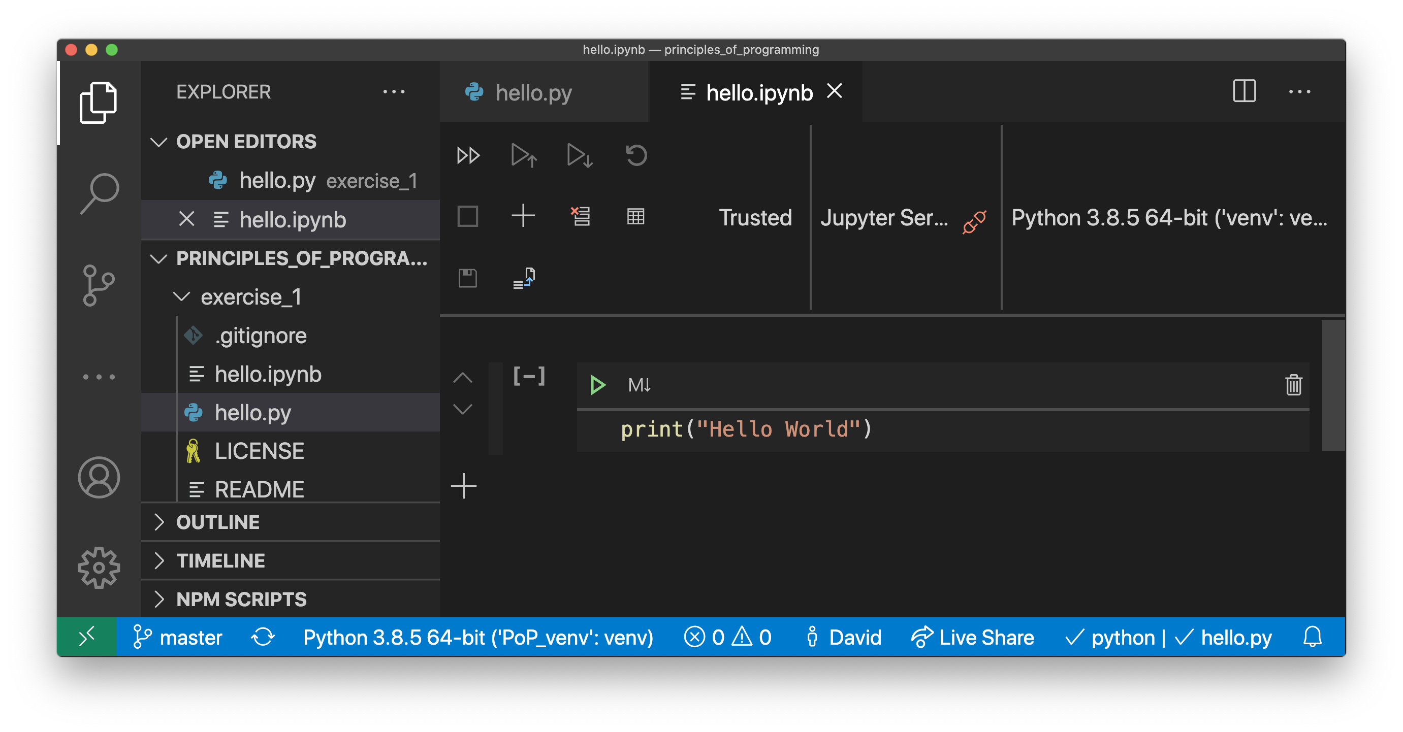 _images/vscode_hello_ipynb.png