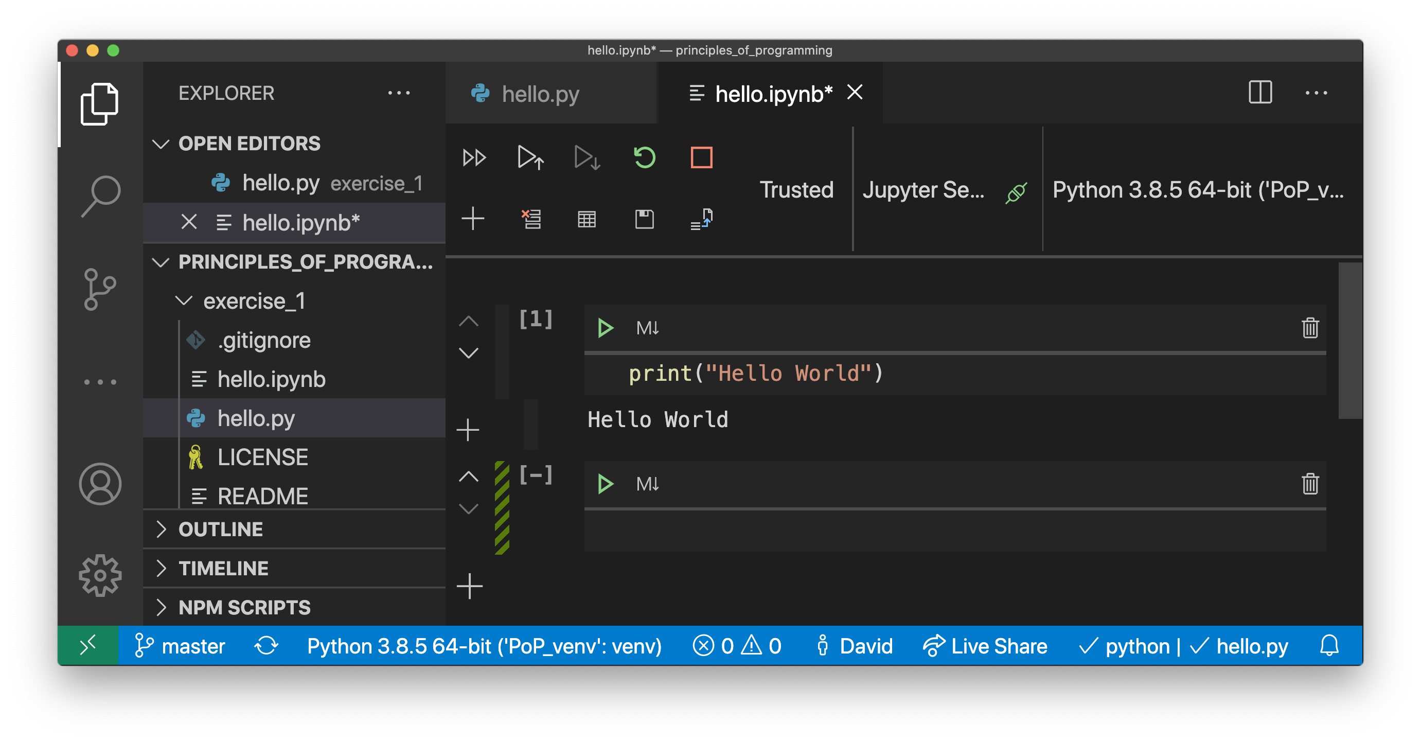 .ipynb viewer in vs code