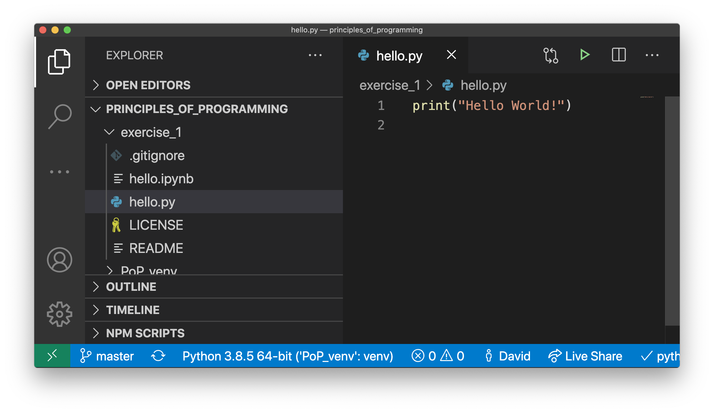 _images/vscode_hello_py.png